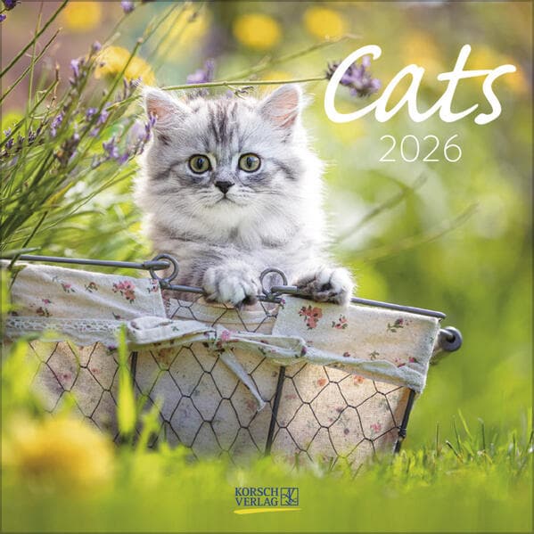 Cats 2026
