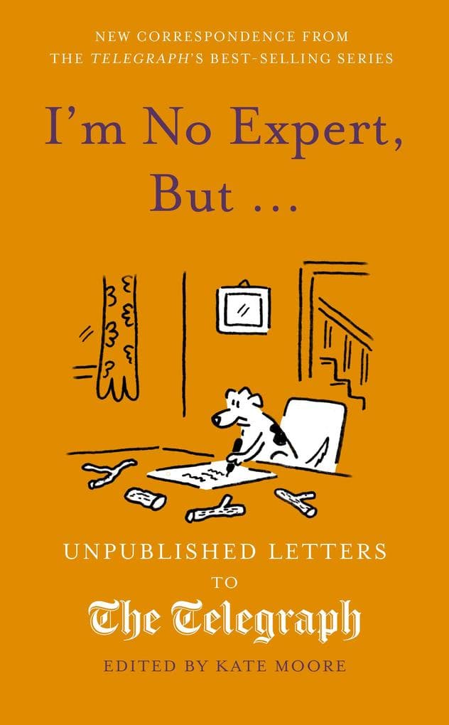 I'm No Expert, But ...