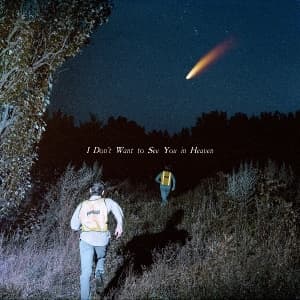 I Don't Want to See You in Heaven (Seattle Vinyl)