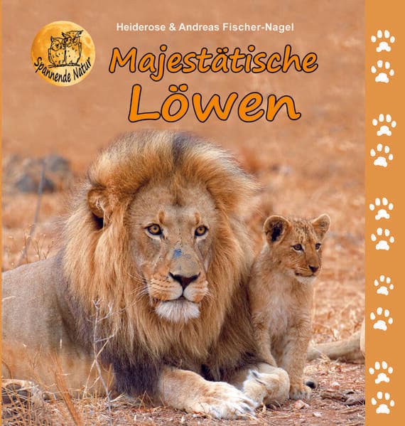 Majestätische Löwen