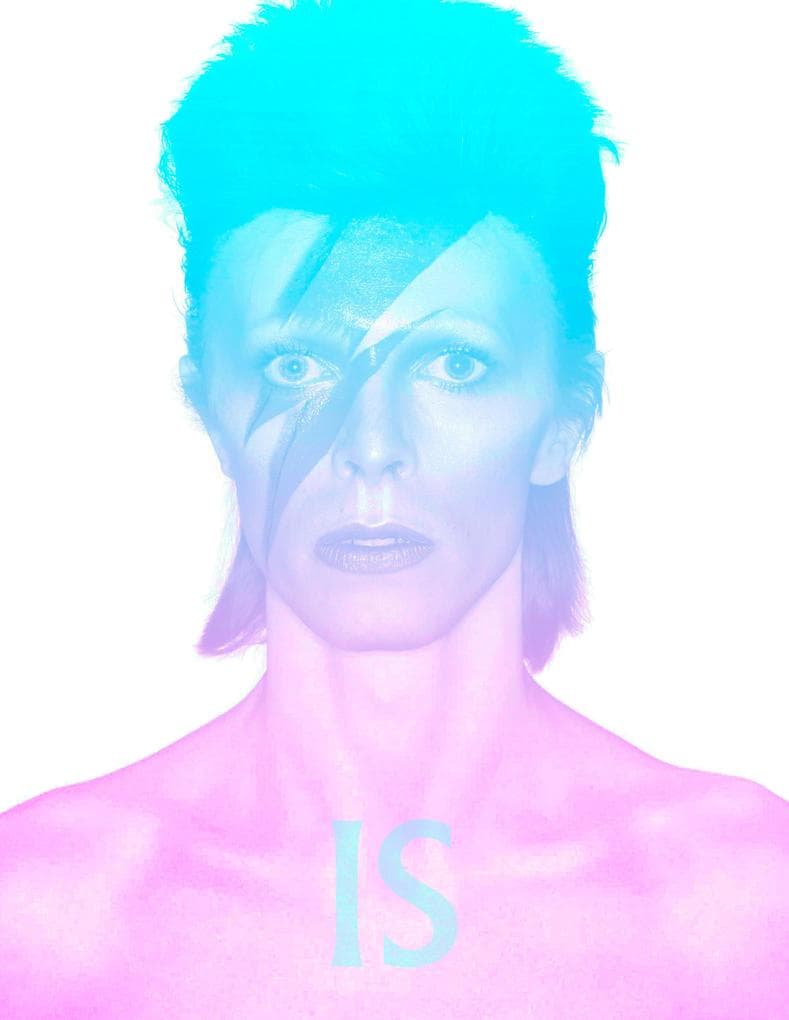 David Bowie Is