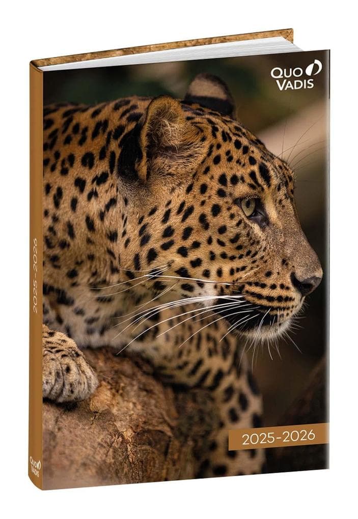 Schülerkalender FORUM Tiere Leopard 2025/2026