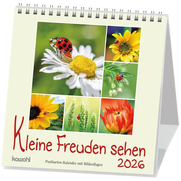 Kleine Freuden sehen 2026