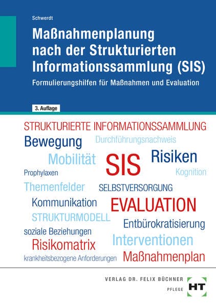 Maßnahmenplanung nach der Strukturierten Informationssammlung (SIS)