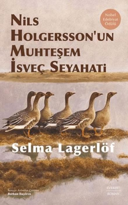 Nils Holgerssonun Muhtesem Isvec Seyahati