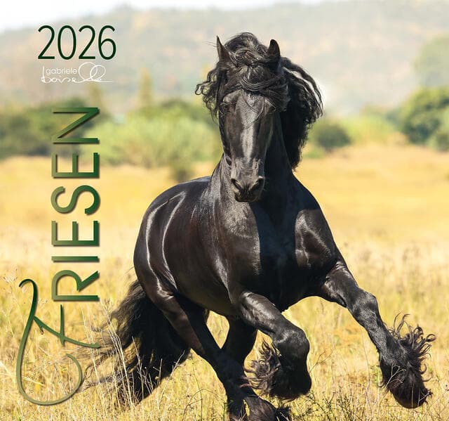 Friesen 2026