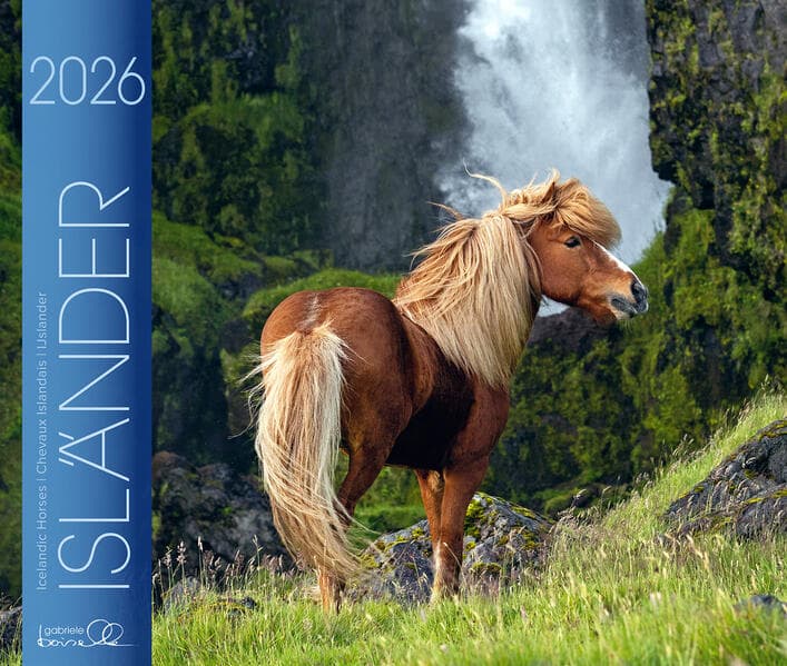 Isländer 2026