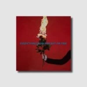 Everything's On Fire But I'm Fine (Ltd. Deluxe CD)