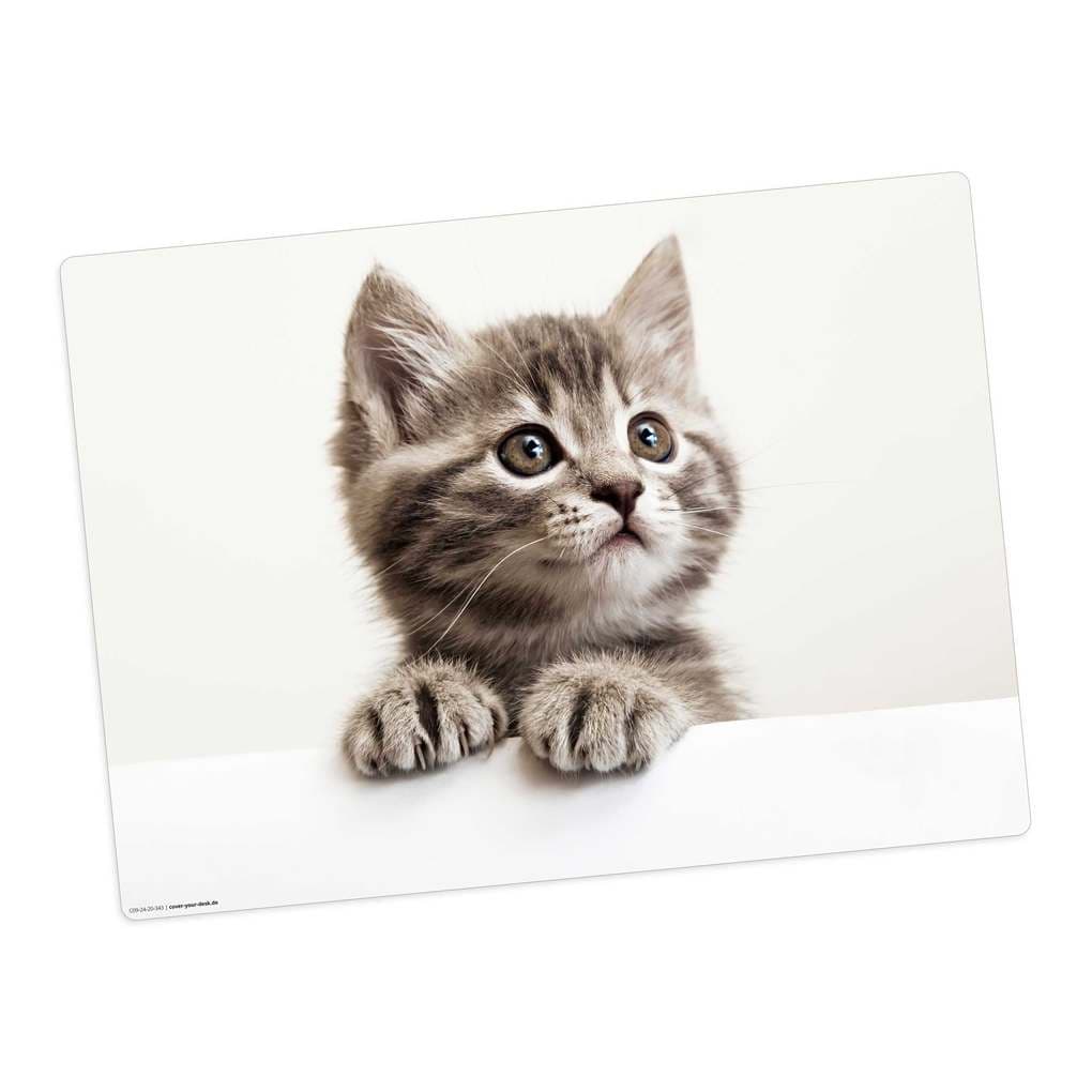 Tischsetmacher Tischset Baby Kätzchen , aus hochwertigem Vinyl, 44 x 32 cm