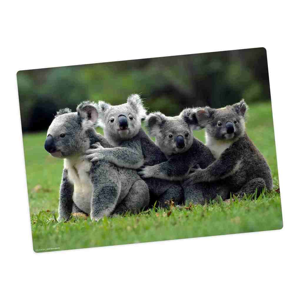 Tischsetmacher Tischset Koala Familie , aus hochwertigem Vinyl, 44 x 32 cm
