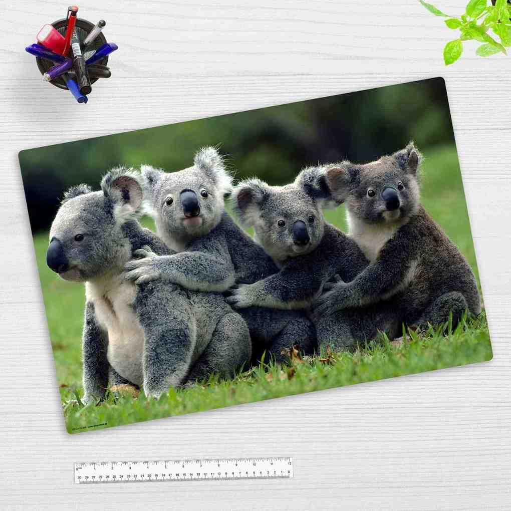 Cover-your-desk Schreibtischunterlage für Kinder Koala, aus hochwertigem Vinyl, 60 x 40 cm