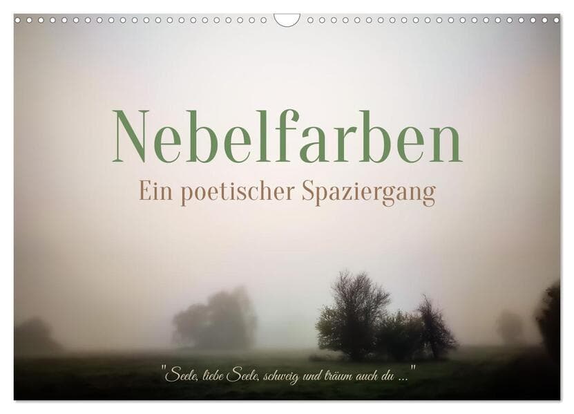 Nebelfarben. Ein poetischer Spaziergang (Wandkalender 2026 DIN A3 quer), CALVENDO Monatskalender