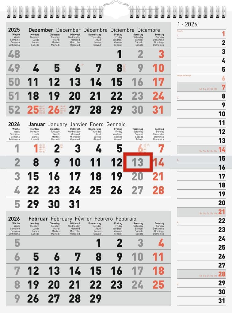 rido/idé 7033330006 | 3-Monatskalender 2026 | grau, 300×390 mm