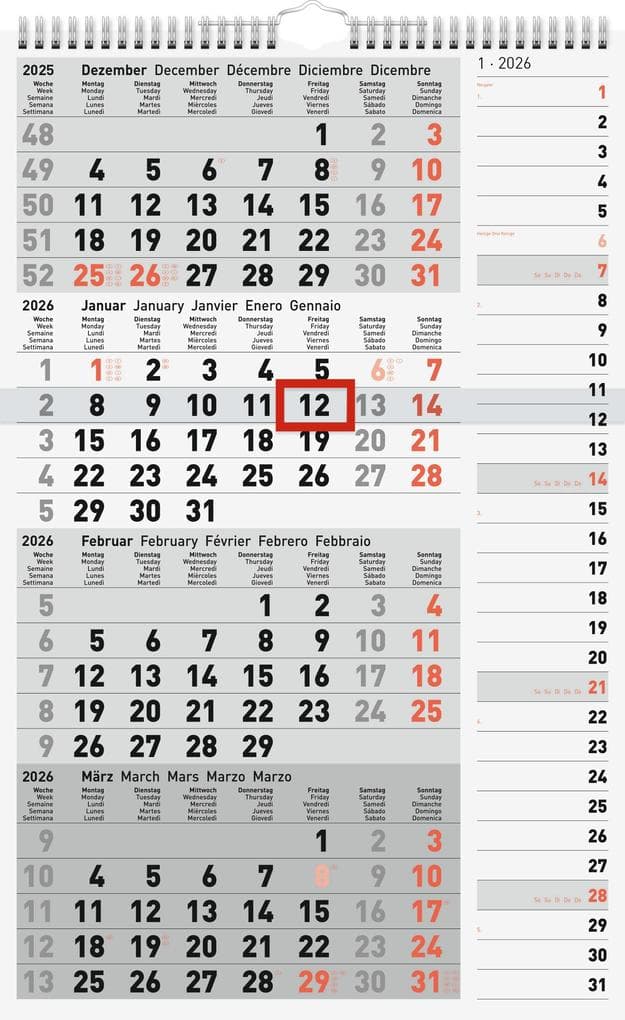 rido/idé 7033430006 | 4-Monatskalender 2026 | grau, 300×490 mm