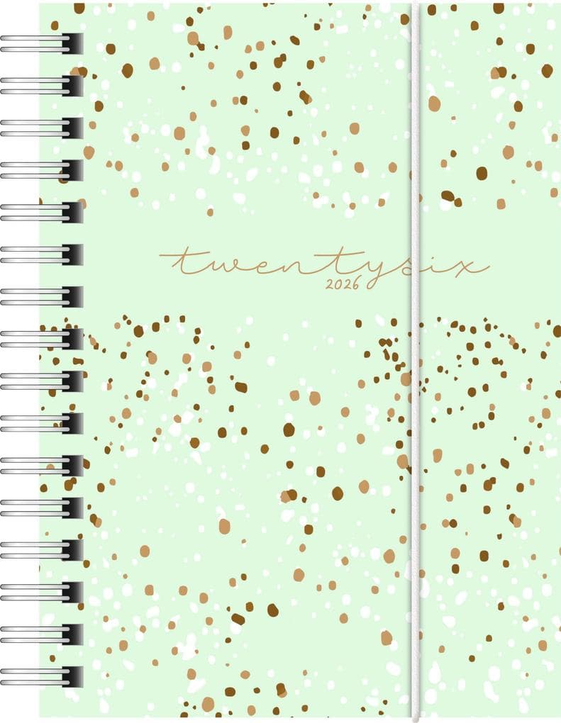 rido/idé 7013102026 | Taschenkalender Mod. perfect/Technik I 2026 "Confetti" | A6, Kunststoff