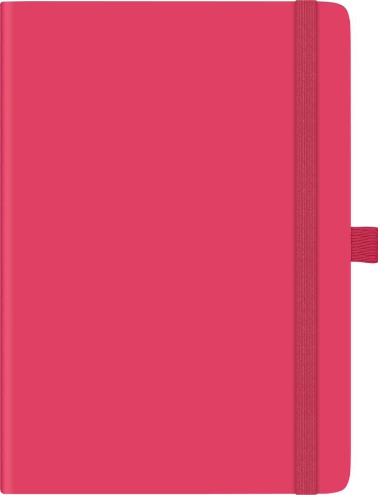BRUNNEN 1079166266 | Buchkalender Kompagnon Mod. 791 66 2026 | A5, Kunststoff, pink