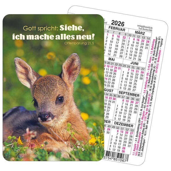 Spielkartenkalender 2026