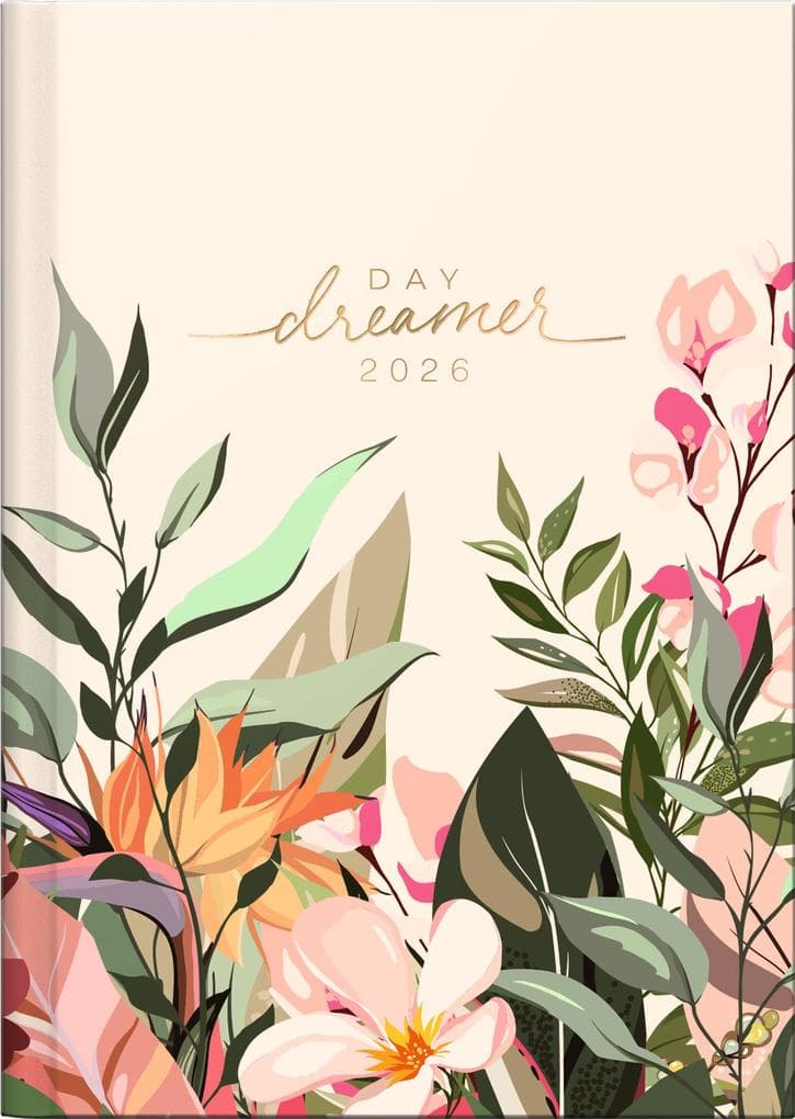 rido/idé 7018307026 | Taschenkalender Mod. Technik III 2026 "Dreamer" | A6, Papier