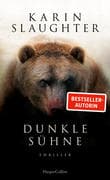 Dunkle Sühne