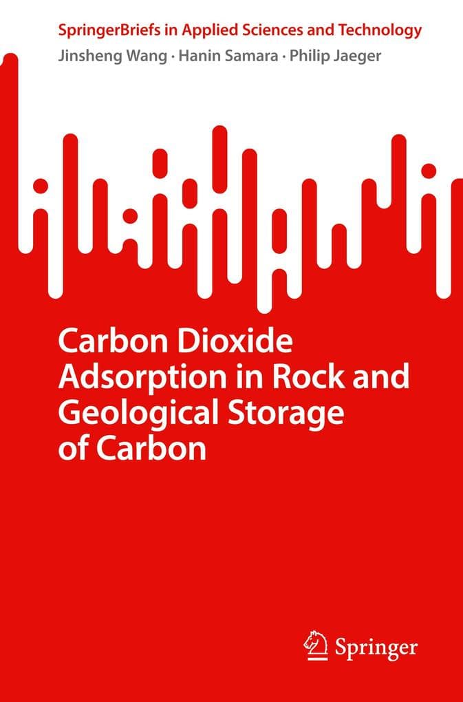 Carbon Dioxide Adsorption in Rock and Geological Storage of Carbon