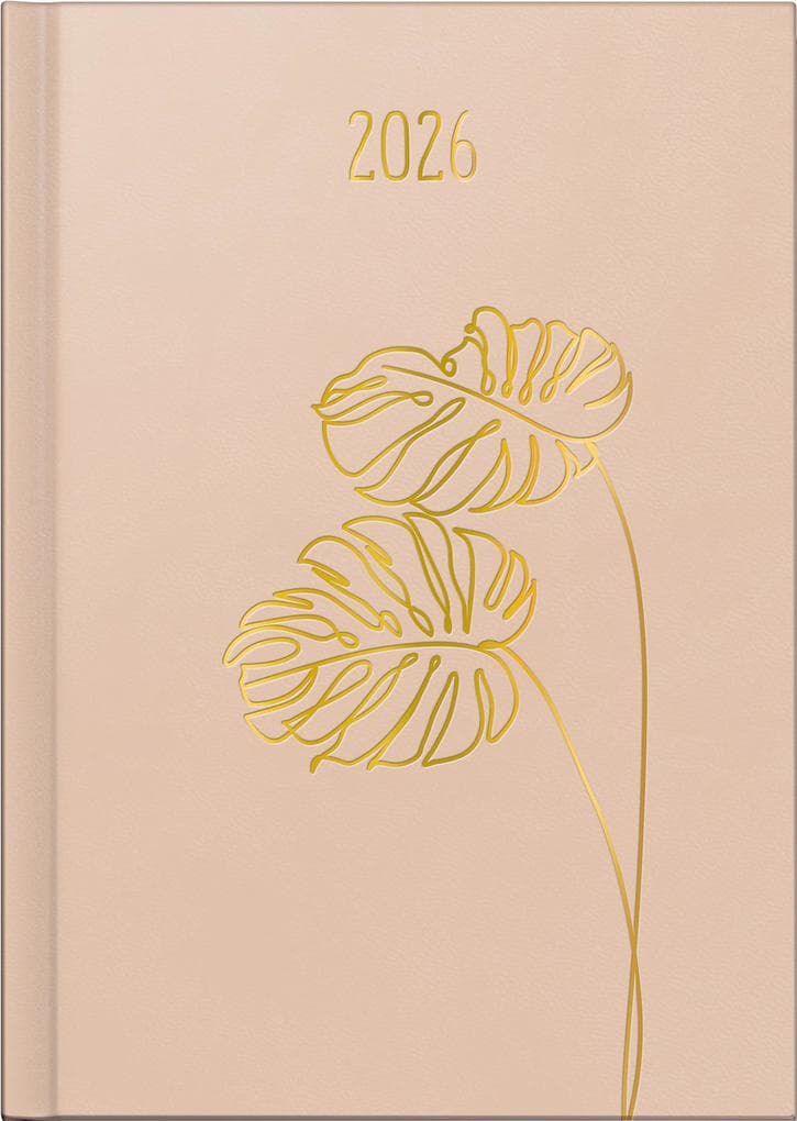 rido/idé 7028503016 | Buchkalender Young Line 2026 "Monstera" | A5, Kunstleder