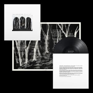 Crooked Wing (LP)