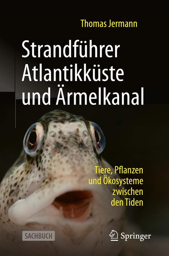 Strandführer Atlantikküste und Ärmelkanal