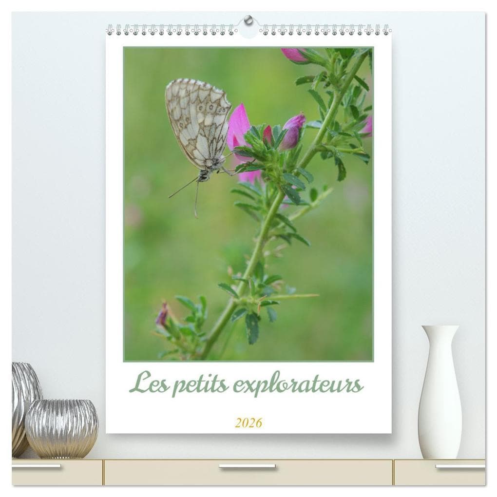 Les petits explorateurs (Calendrier mural 2026 DIN A2 horizontal) calendrier de bureau