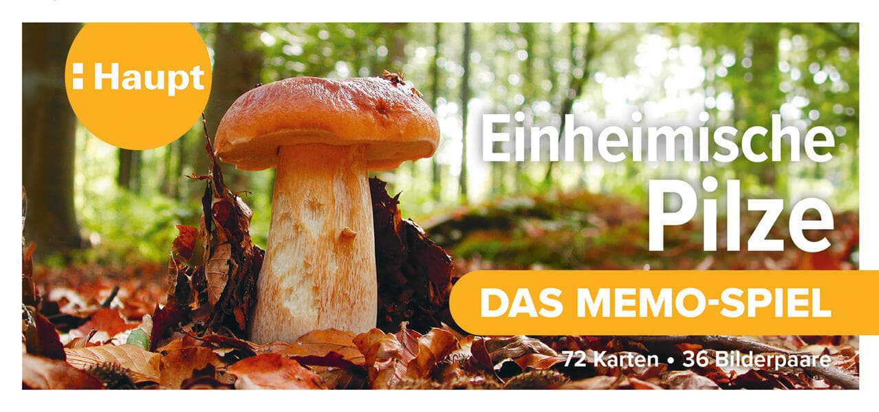 Einheimische Pilze - das Memo-Spiel