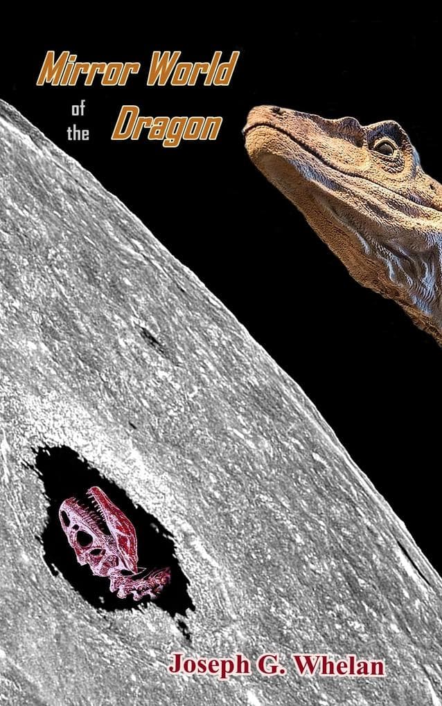 Mirror World of the Dragon (Dragon World, #11)
