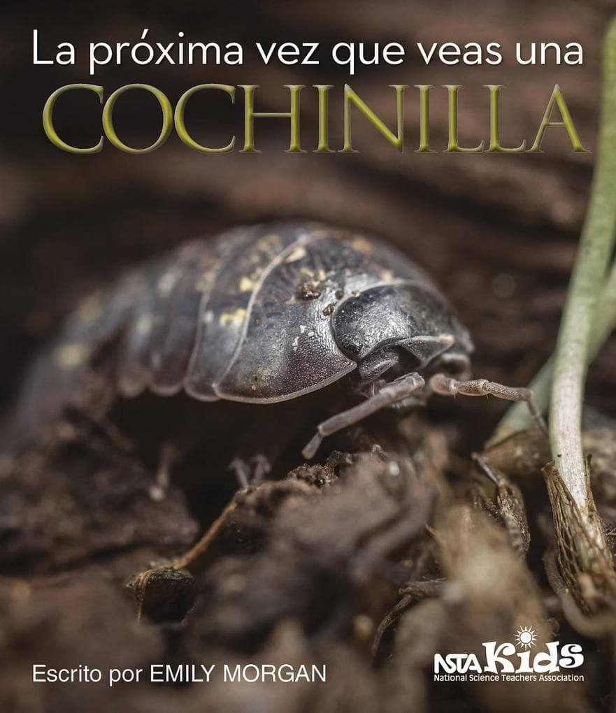 La próxima vez que veas una cochinilla
