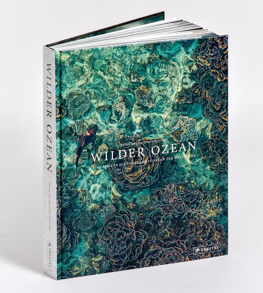 Wilder Ozean