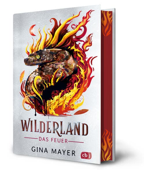 Wilderland - Das Feuer (Bd. 2)