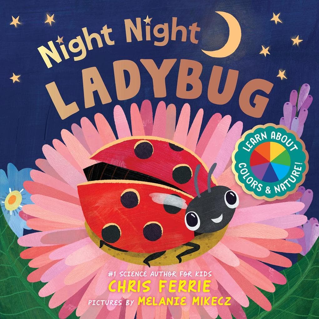 Night Night Ladybug