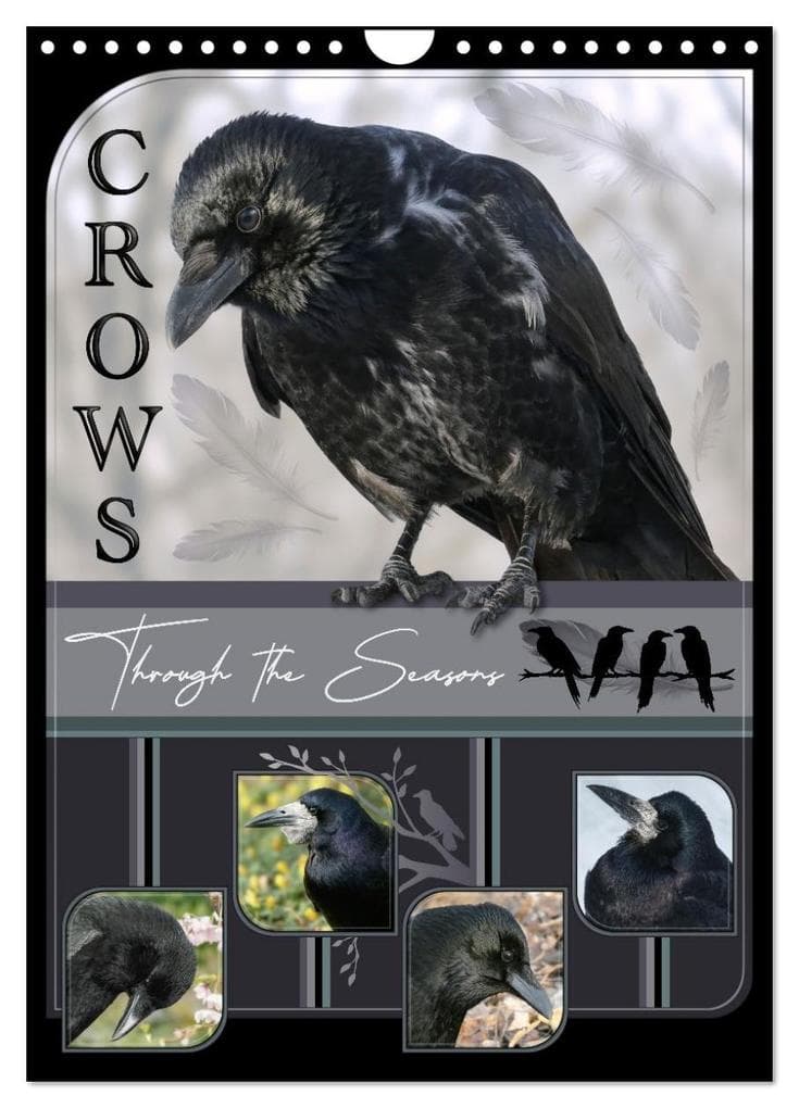 Crows - Through the Seasons (Wall Calendar 2026 DIN A4 portrait), CALVENDO 12 Month Wall Calendar