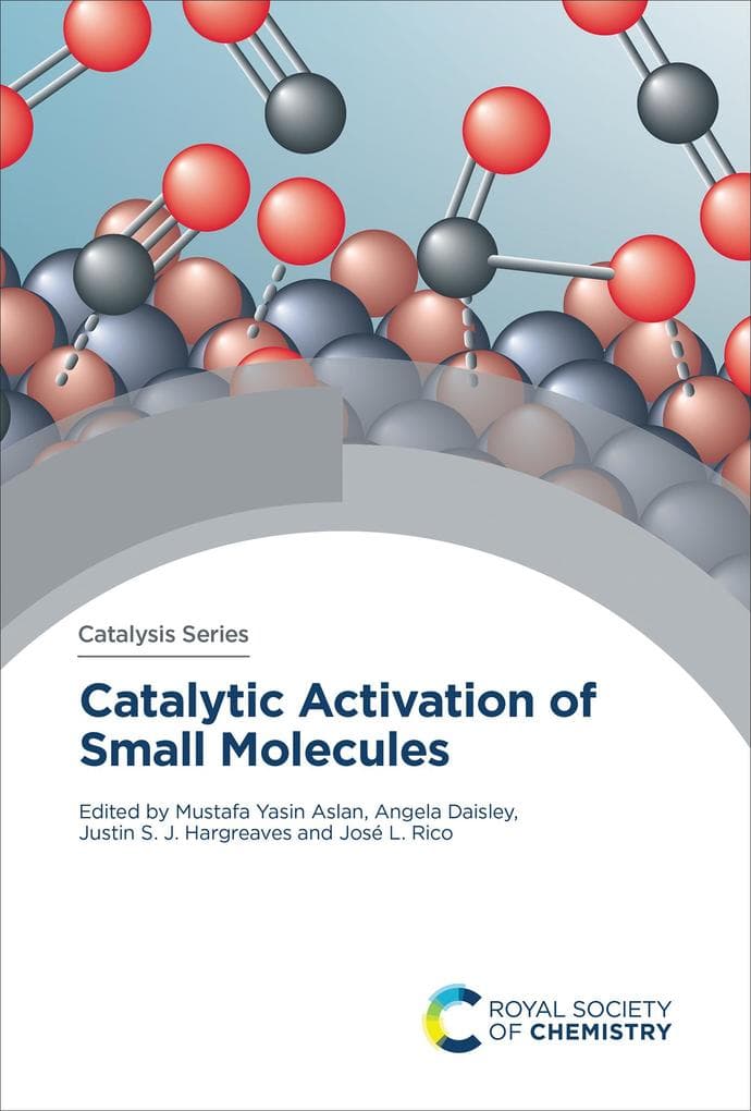 Catalytic Activation of Small Molecules