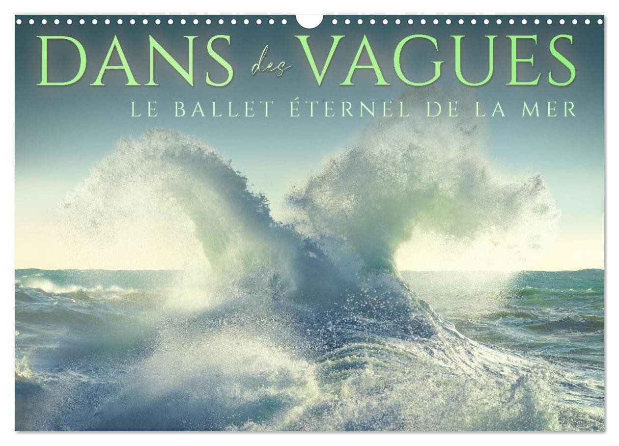 Dans des vagues - Le ballet éternel de la mer (Calendrier mural 2026 DIN A3 vertical), CALVENDO calendrier mensuel