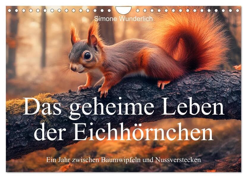 Das geheime Leben der Eichhörnchen - Ein Jahr zwischen Baumwipfeln und Nussverstecken (Wandkalender 2026 DIN A4 quer), CALVENDO Monatskalender