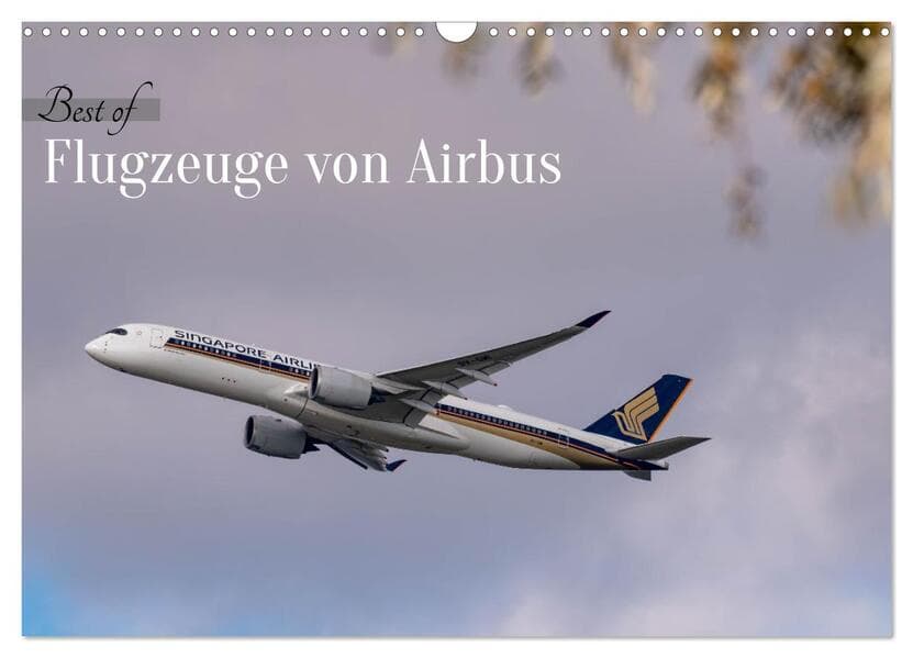 Flugzeuge von Airbus 2026 (Wandkalender 2026 DIN A3 quer), CALVENDO Monatskalender