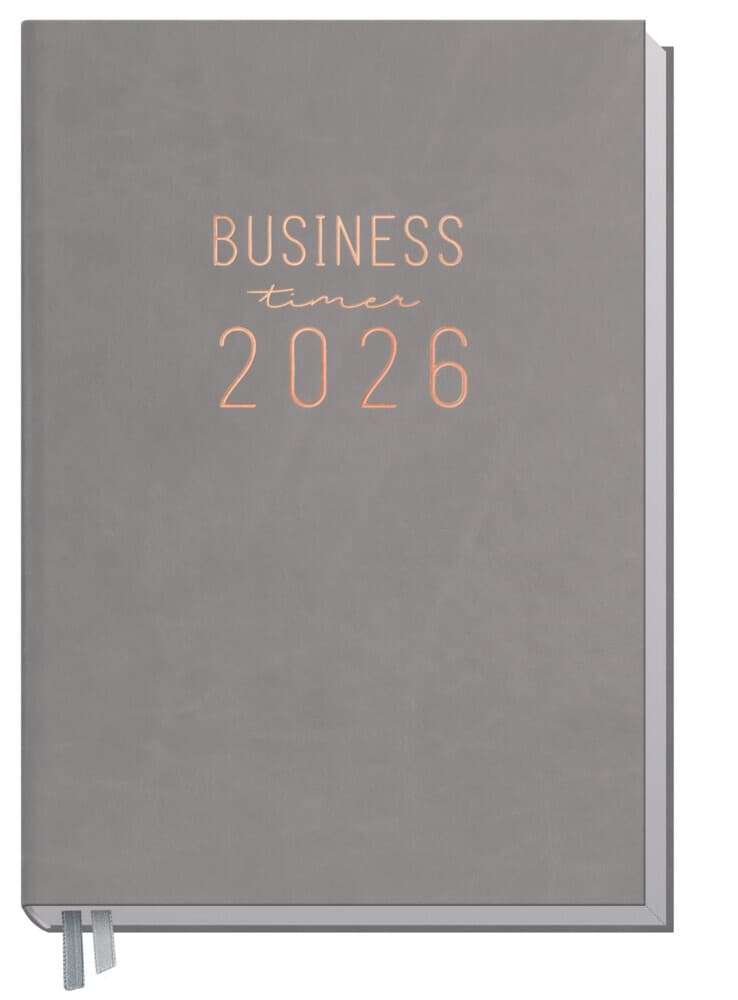 Business-Timer 25/26 18 Monate KL [Grau-Rosé]