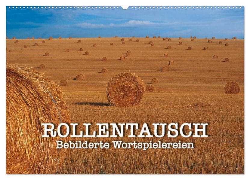 Rollentausch - Bebilderte Wortspielereien (Wandkalender 2026 DIN A2 quer), CALVENDO Monatskalender