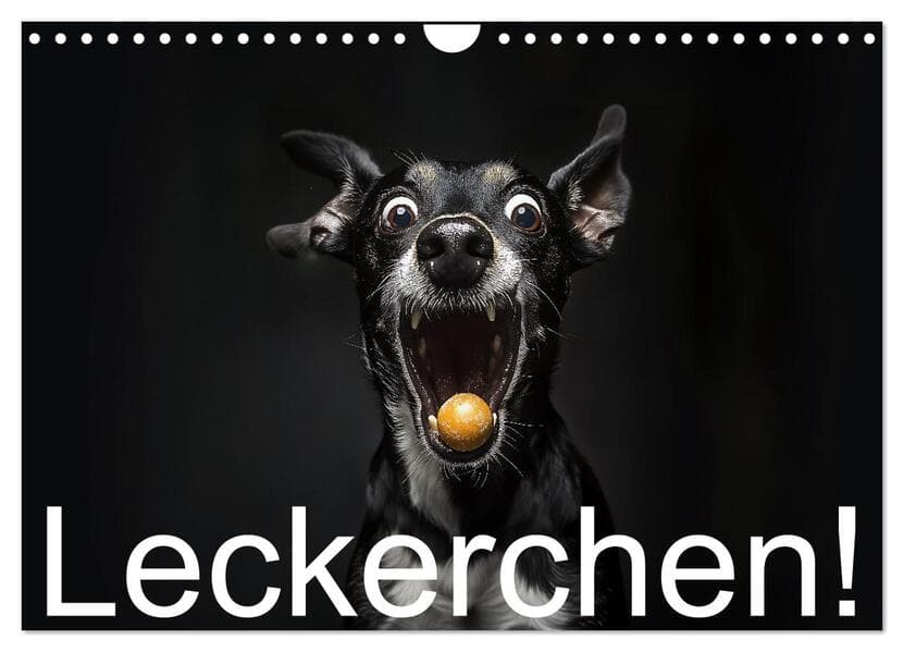 Leckerchen! (Wandkalender 2026 DIN A4 quer), CALVENDO Monatskalender
