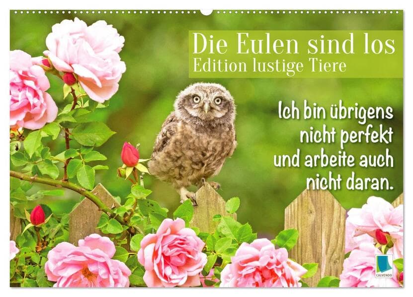 Die Eulen sind los: Edition lustige Tiere (Wandkalender 2026 DIN A2 quer), CALVENDO Monatskalender