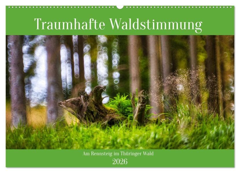 Traumhafte Waldstimmung am Rennsteig im Thüringer Wald (Wandkalender 2026 DIN A2 quer), CALVENDO Monatskalender