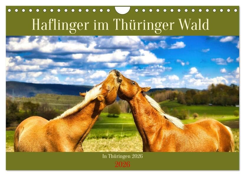 Haflinger im Thüringer Wald (Wandkalender 2026 DIN A4 quer), CALVENDO Monatskalender
