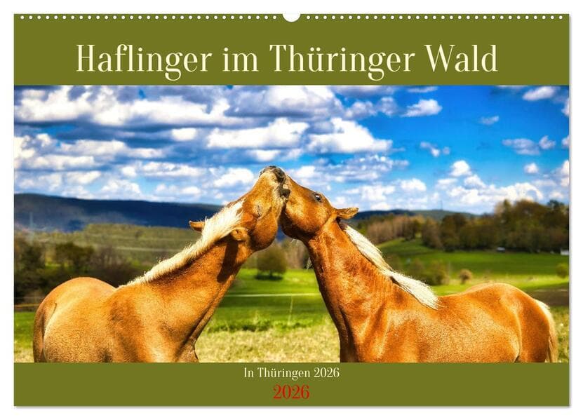Haflinger im Thüringer Wald (Wandkalender 2026 DIN A2 quer), CALVENDO Monatskalender