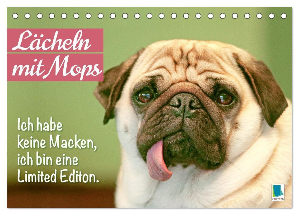 Lächeln mit Mops (Tischkalender 2026 DIN A5 quer), CALVENDO Monatskalender