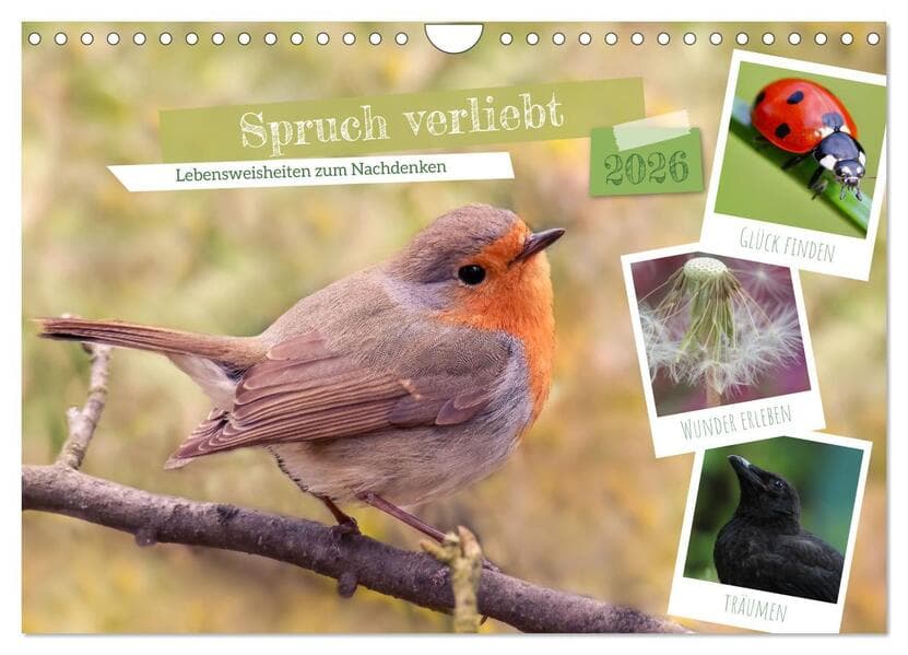 Spruch verliebt (Wandkalender 2026 DIN A4 quer), CALVENDO Monatskalender