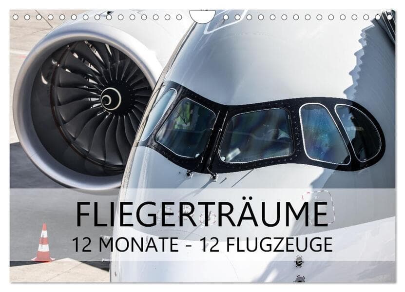 Fliegerträume: 12 Monate, 12 Flugzeuge (Wandkalender 2026 DIN A4 quer), CALVENDO Monatskalender