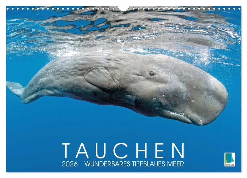 Tauchen: Wunderbares tiefblaues Meer (Wandkalender 2026 DIN A3 quer), CALVENDO Monatskalender